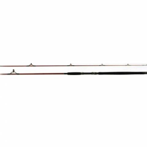 Caña Peter 3002 3,00 2T FRONTAL