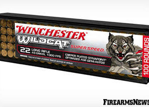 WINCHESTER WILDCAT 22LONG 40GR x100